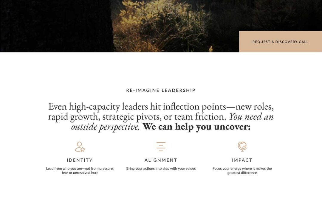 Leadership Coaching & Organizational Development Website Design